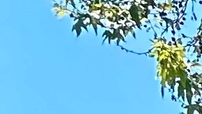 Alfredo "Al" Labrada, quien fuera uno de los tres jefes con más poder en el LAPD. (Araceli Martínez/La Opinión)