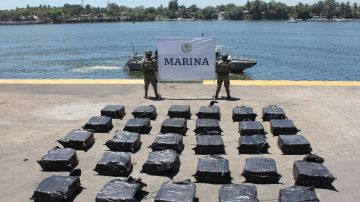 Marina en México da golpe al narco y decomisa casi 2 toneladas de cocaína en Michoacán