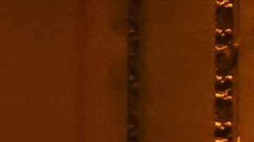 Paco Villa (d) junto a Marc Crosas (i) durante la ceremonia de entrega del Balón de Oro 2022 de la Liga MX, uno de los últimos eventos en los que el periodista apareció públicamente.