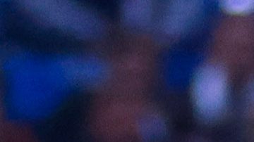 Fernando Ortiz, DT de Rayados de Monterrey.