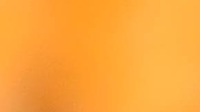 Nahuel Guzmán se perderá lo que resta del Torneo Clausura de la Liga MX debido a una lesión en la rodilla derecha.