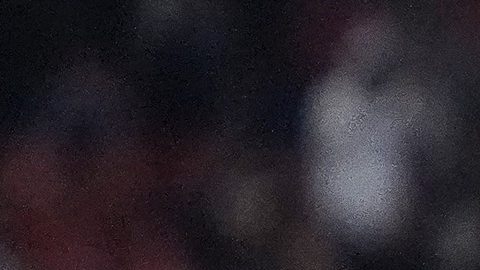 Federico Viñas celebra un gol con el León.