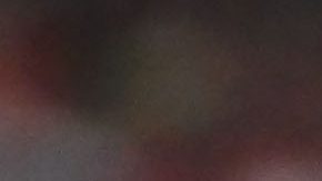 El América va por el bicampeonato.