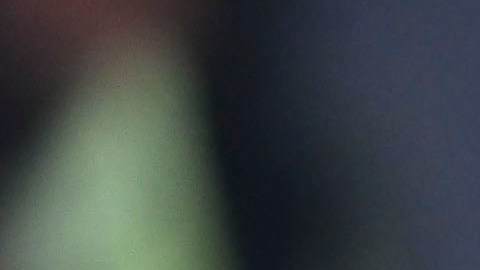 Diego Lainez, jugador de Tigres de la UANL.