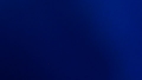 El entrenador brasileño de las Águilas del América, André Jardine, se ha convertido en uno de los técnicos más importantes dentro del campeonato mexicano.