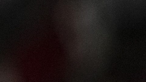 Miguel Herrera afirmó sentir vergüenza por el momento de Xolos.