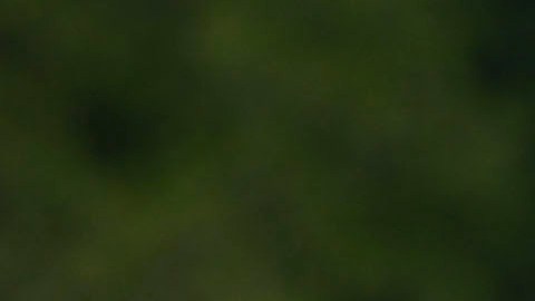 Marzo de 2024. Santiago Giménez, Hirving Lozano durante la sesión del uniforme 2024 home de la selección nacional de México,. Foto/Imago7/Etzel Espinosa