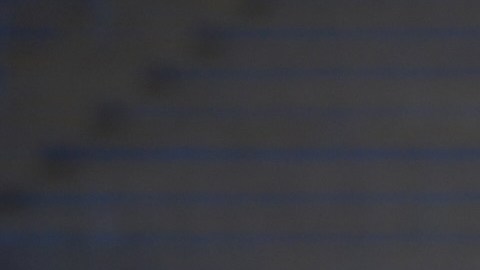 Guadalajara, Jalisco a 31 de Marzo de 2024. Antonio Spinelli, director técnico, durante el partido correspondiente a la jornada 13 del torneo Clausura 2024 de la Liga BBVA MX Femenil, entre las chivas rayadas de Guadalajara y las rojinegras del Atlas, realizado en el estadio Akron. Foto/ Imago7/Cristian Hernandez