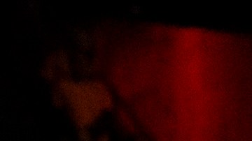 ijuana, Baja California, 5 de de Abril de 2024. , durante el partido de la jornada 14 de torneo Clausura 2024 de la Liga BBVA MX, entre los Xolos de Tijuana y los rayos del Necaxa, celebrado en el estadio Caliente. Foto: Imago7/