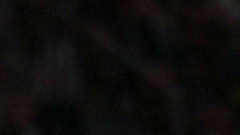 Javier Hernández anotó el primer gol de las Chivas.