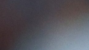 Robert dante Siboldi, entrenador de los Tigres de la UANL.