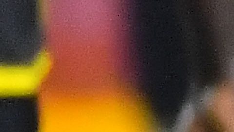 Los Tigres de la UAN quedaron a un par de pasos de disputar la final de la Concachampions.