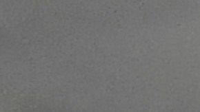 Salomón Rondón ha marcado siete goles en cinco partidos disputados en esta temporada de la Champions Cup de la Concacaf.