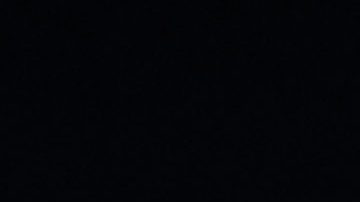 Marcelo Flores y André- Pierre Gignac festejan uno de los goles de Tigres a Necaxa.