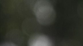 Cancun, Quintana Roo, 16 Septiembre de 2012: Ricardo Lavolpe, DT de Atlante, durante el partido correspondiente a la jornada 8 de la LIGA MX 2012, entre los Atlante vs Tijuana, realizado en el estadio Andres Quintana Roo. Foto: Imago7/Carlo Fernández