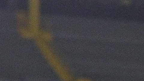 El "Tuca" dirigió al Patón durante varios años.
