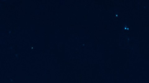 Júpiter se ve en el cielo como una hermosa estrella brillante.