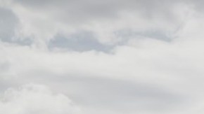 Kia Sorento X-Pro 2024