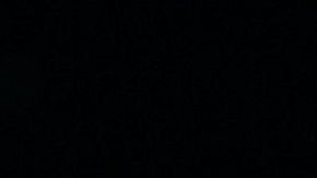 Michelle Renaud y Matías Novoa