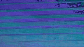 Nostalgia norteña con Alicia V_2080912