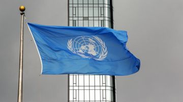 La ONU definirá la suerte de Ecuador
