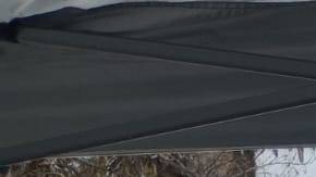 Guatemaltecos en campaña por el TPS.