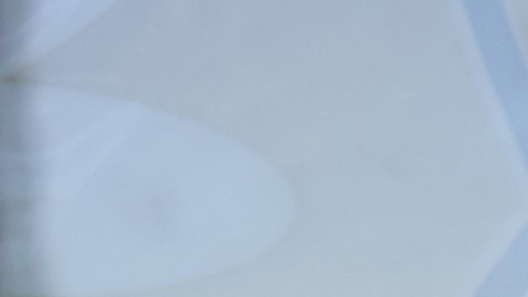 Cupones de alimentos SNAP