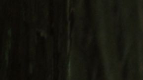 Sasquatch Sunset | Foto: Cortesía/ Bleecker Street