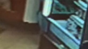 Savannah Graziano momentos antes de perder la vida.