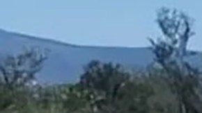 Violencia en Nuevo León