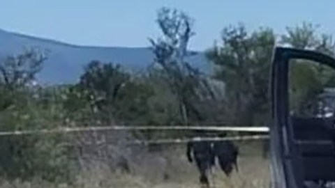 Violencia en Nuevo León