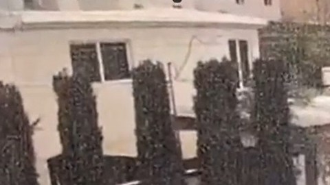 Violencia en Chihuahua