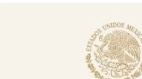 Estructura del CJNG conformada por familiares de "El Mencho". Crédito: Secretaría de Seguridad y Protección Ciudadana | Cortesía