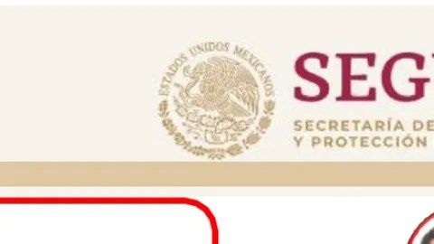 Estructura del CJNG conformada por familiares de "El Mencho". Crédito: Secretaría de Seguridad y Protección Ciudadana | Cortesía