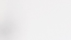 TAXES Estados Unidos