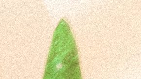 Katie Taylor y Amanda Serrano