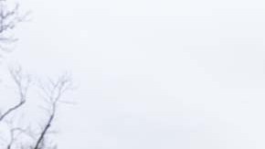 TikTok, la controversial red de origen chino