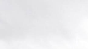 Trabajadores agrícolas temporales Los trabajadores agrícolas temporales constantemente