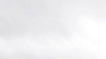 Trabajadores agrícolas temporales Los trabajadores agrícolas temporales constantemente