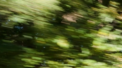 Volkswagen ID.4 2024