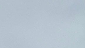 Estudiantes se manifiestan a favor de Palestina en el campus de la Universidad de Columbia en Nueva York.