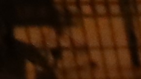 El jefe de Cancillería y Asuntos Políticos de la Embajada de México, Roberto Canseco, fue sometido por policías cuando intentó evitar que trasladaran al exvicepresidente ecuatoriano Jorge Glas.