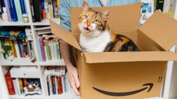 Gato sale de una caja de Amazon, emocionado por el Amazon Pet Day.