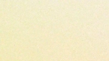 Angelique Boyer y Sebastián Rulli