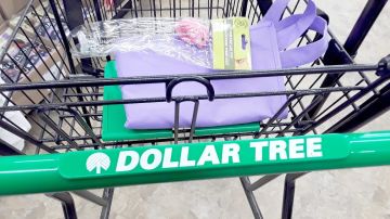 Primer plano de un carrito de compras de Dollar Tree con artículos en la parte superior del asiento.