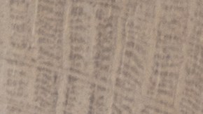 Los días de la semana tiene la influencia energética de los planetas, según la astrología.