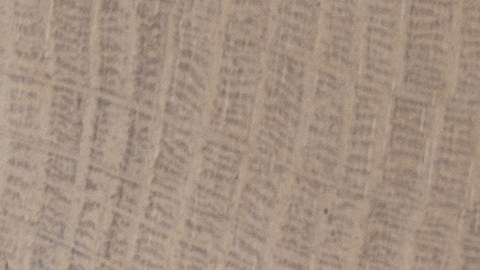 Los días de la semana tiene la influencia energética de los planetas, según la astrología.