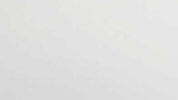 Los jugadores del Feyenoord, incluido Santiago Giménez, celebrando la anotación de David Hancko que selló la victoria.