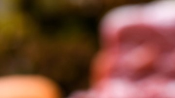 Consumo de carne de venado contaminada se vincula con enfermedad priónica en EE.UU.