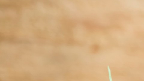 Los productos de CBD no alivian el dolor crónico: estudio